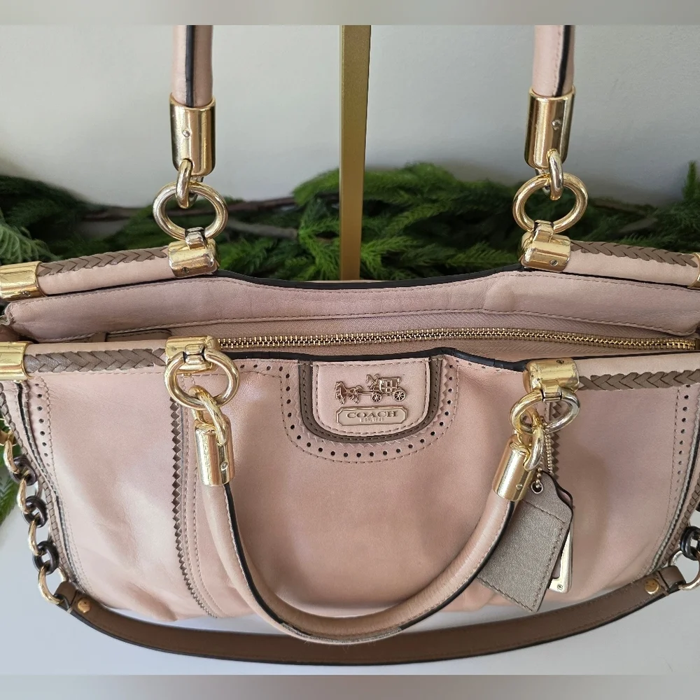 Coach Madison Pinnacle Carrie Satchel Blush Leather Zig Zag Perforated - Picture 13 of 16